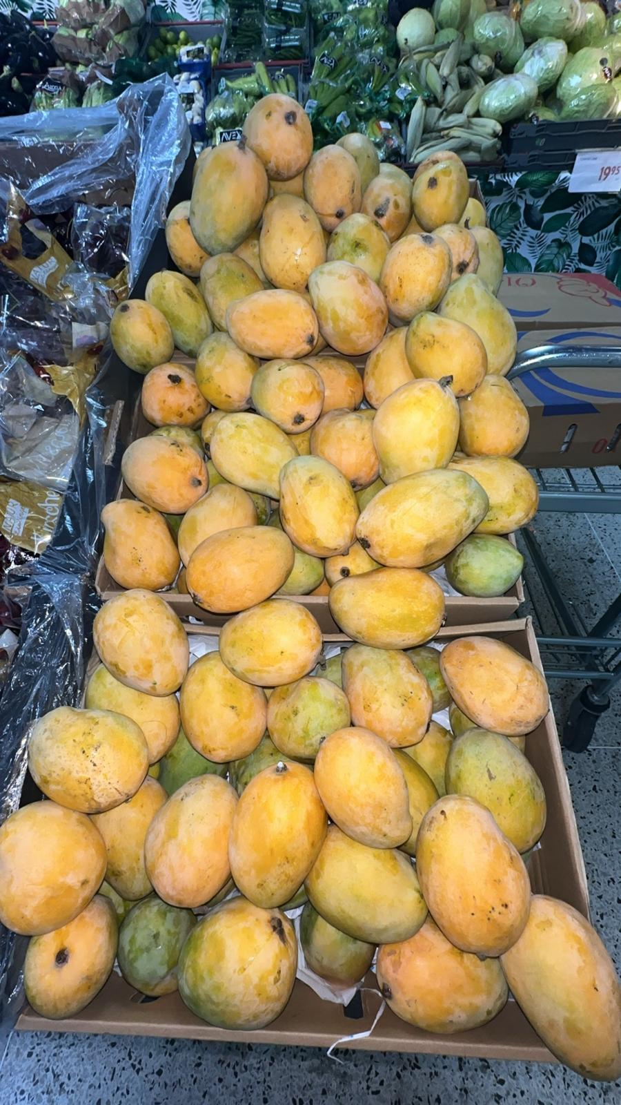 Mango sukkari 3kg
