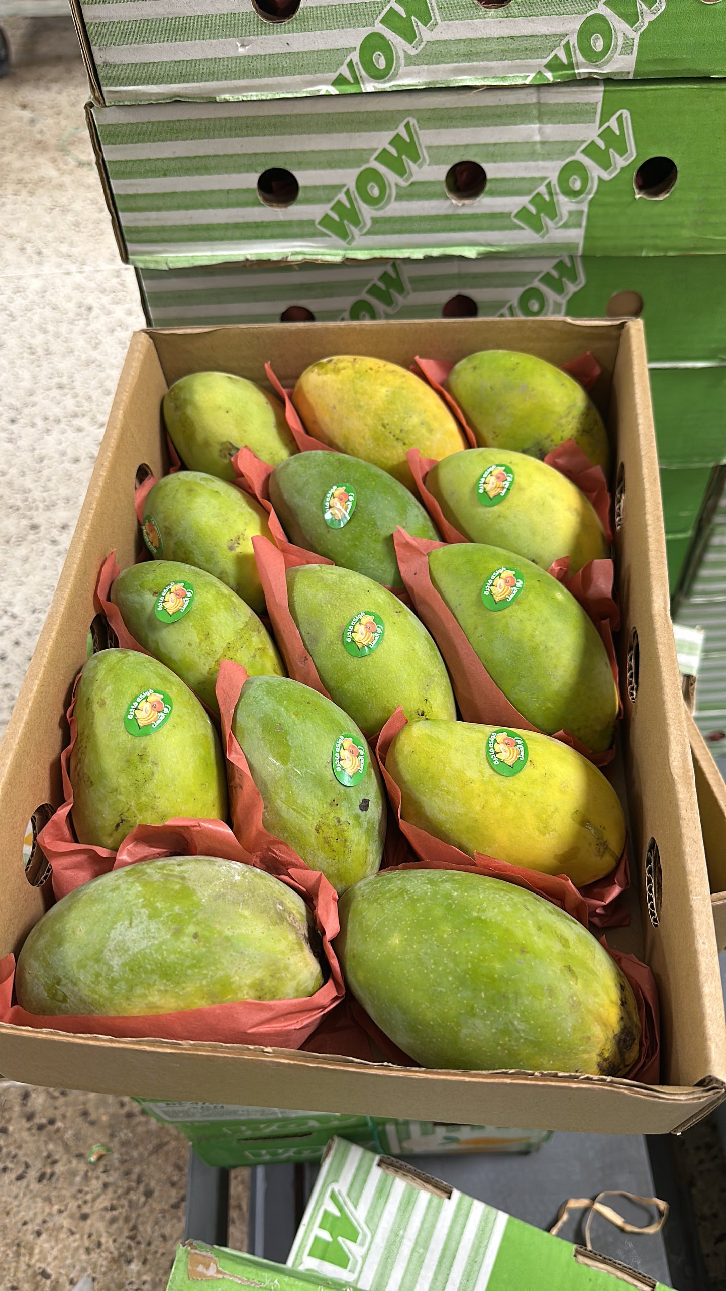 Mango ewes 3kg