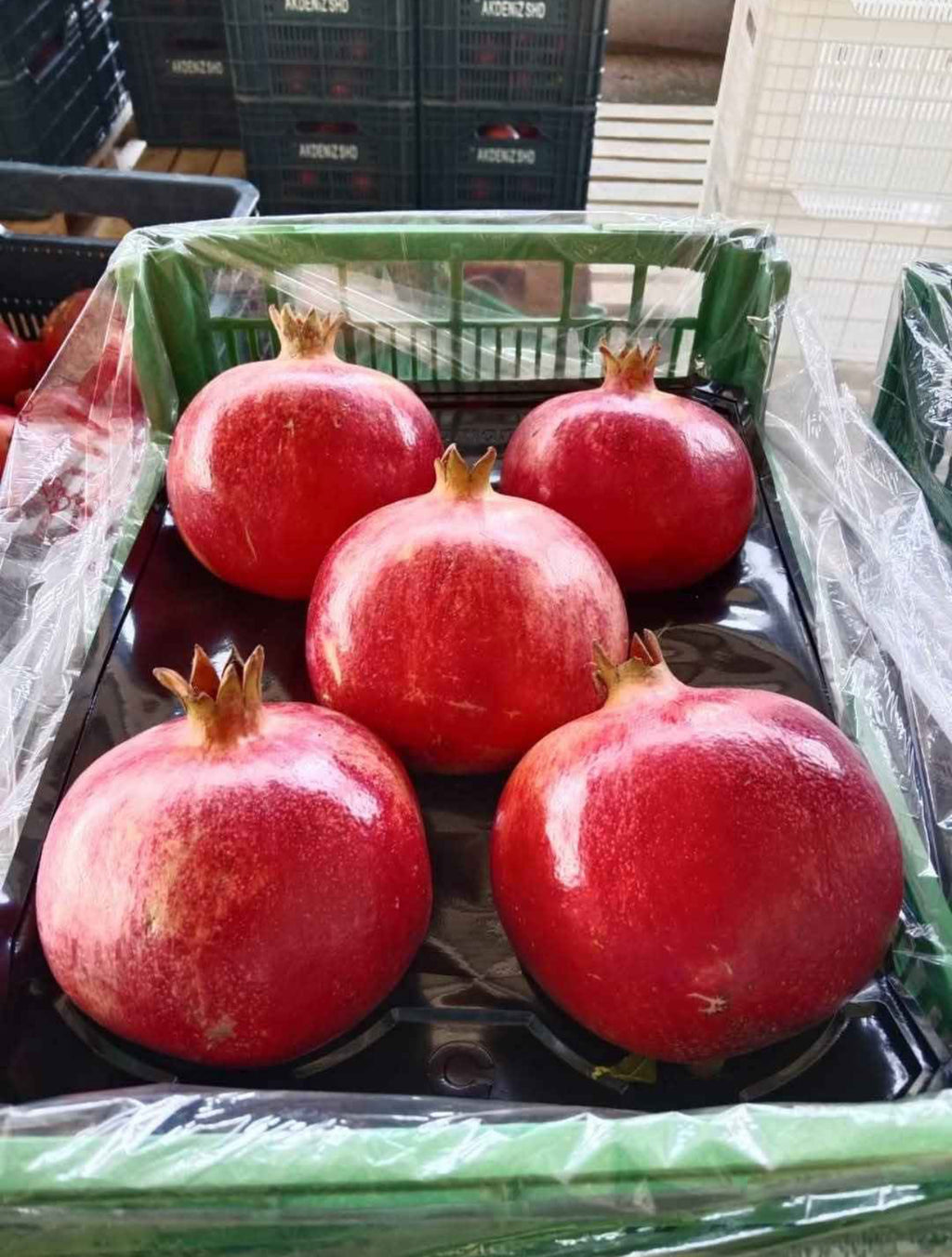 Granatäpple 4,5kg