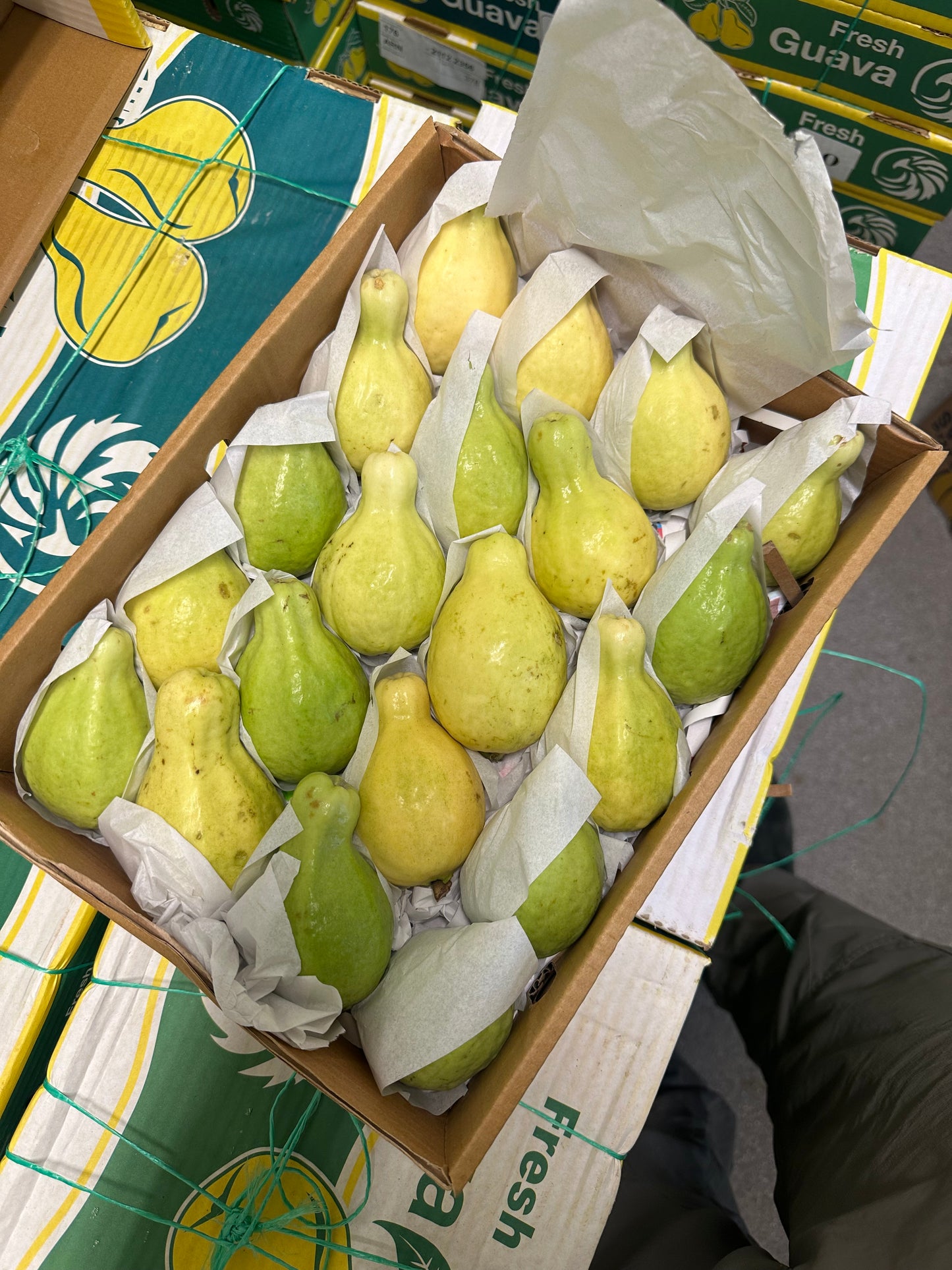 Guava 2.7kg