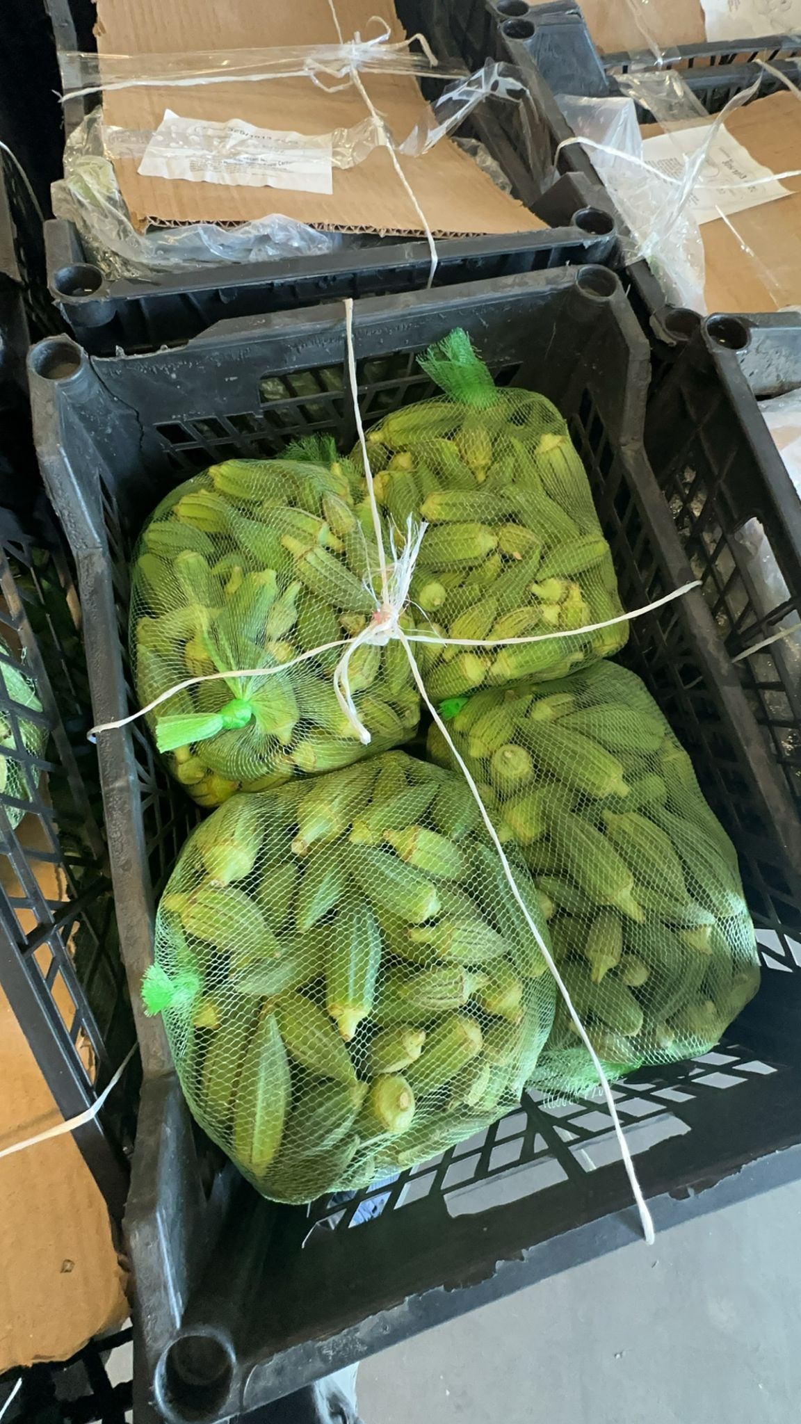 Okra zero färsk 3kg