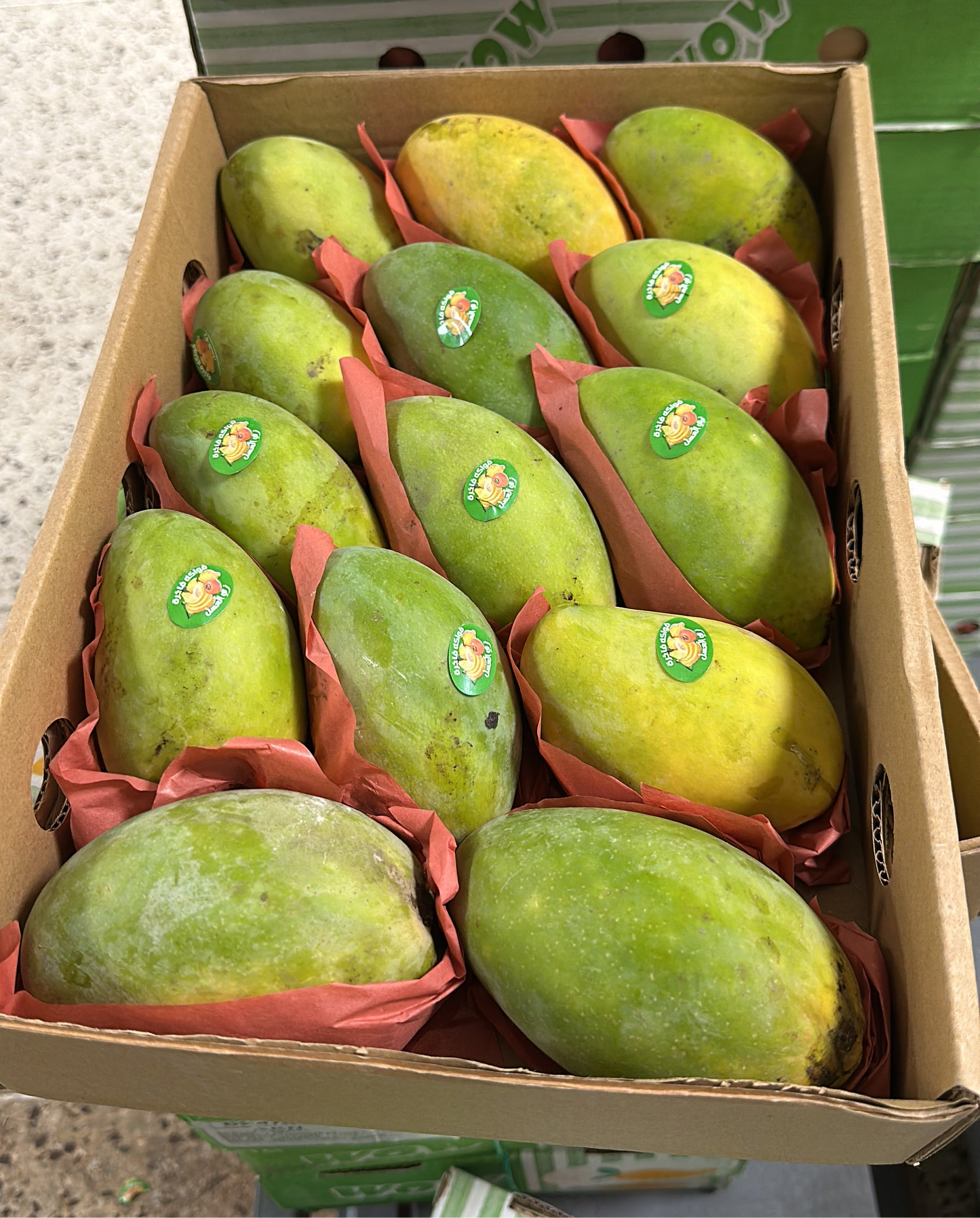 Mango ewes 3kg