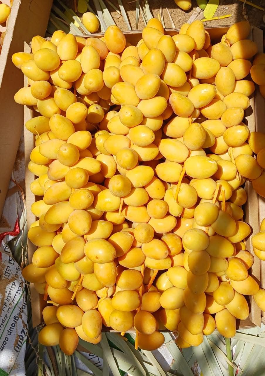 Dadlar barhi 4kg
