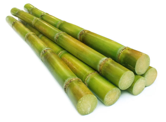 Sockerrör 3kg