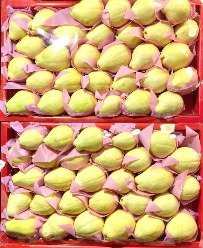 Guava 2.7kg