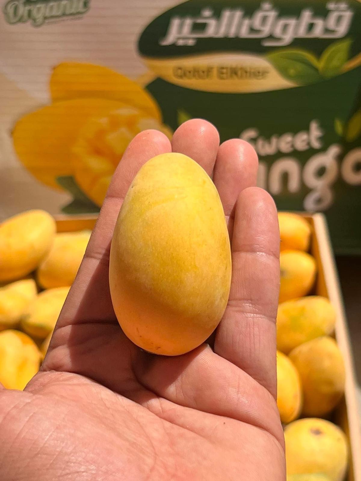 Mango fass 2kg