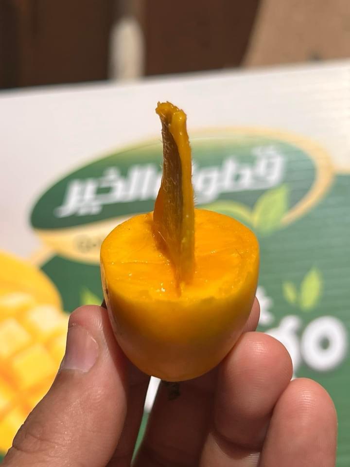 Mango fass 2kg