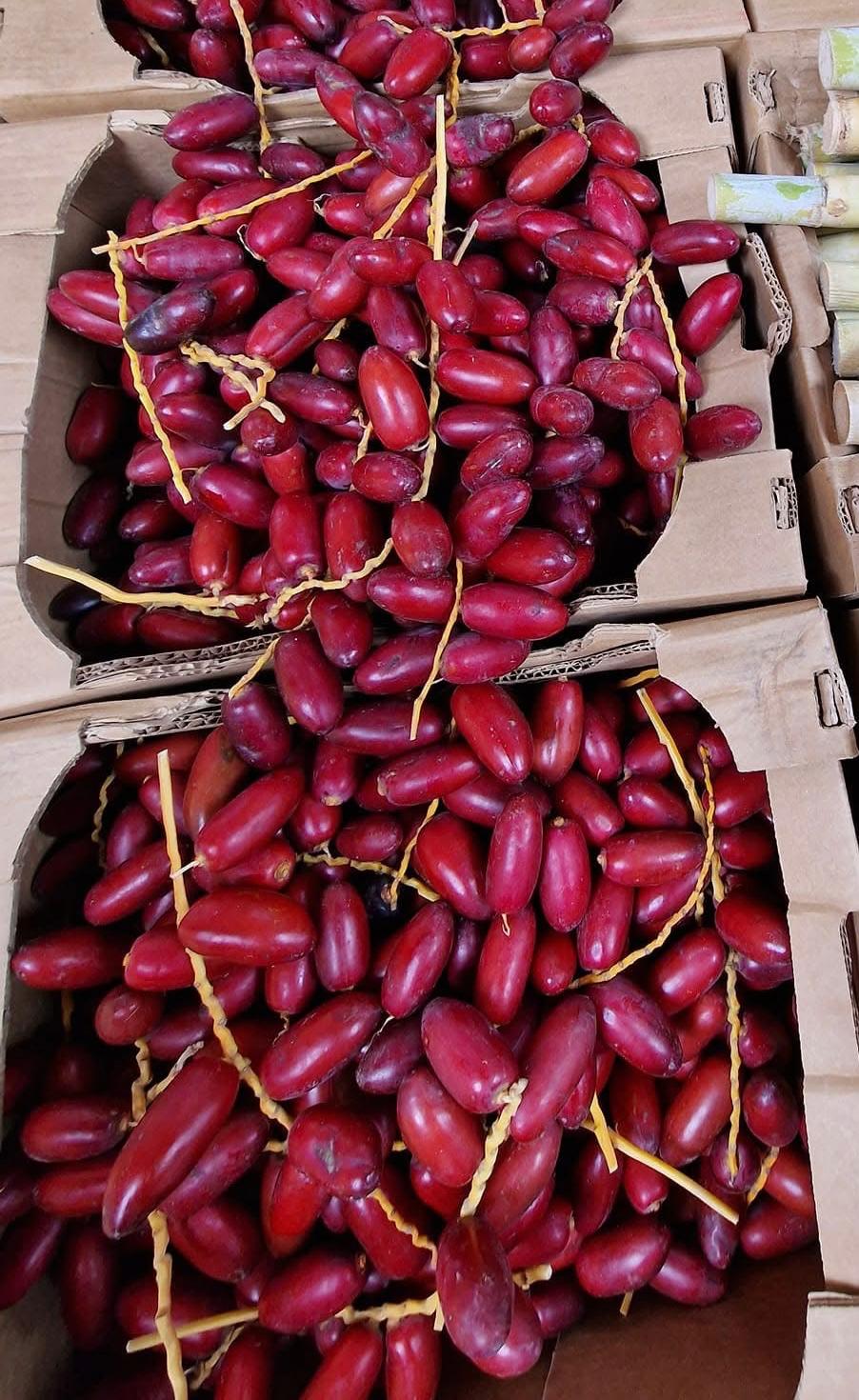 Dadlar zaghloul 3kg