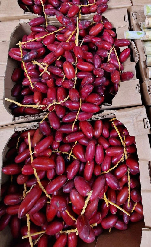 Dadlar zaghloul 3kg